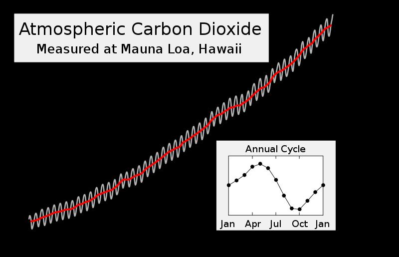 Global Warming and Climate Change 1958: Charles Keeling (cont d) Keeling curve