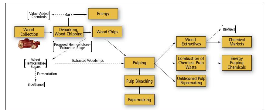 Integrating Biofuels and Pulp Production Bioethanol Ethanol Wood Hemicellulose Bioethanol Ethanol Sludge Bioethanol Overview of proposed
