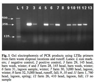 Using toxin genes to source tracking water samples?! Certain toxin genes are endemic to specific animals. Cows have LTIIa Swine have STII! This method requires enrichment of E.