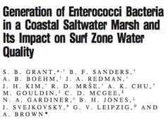 Generation of enterococci bacteria in a coastal