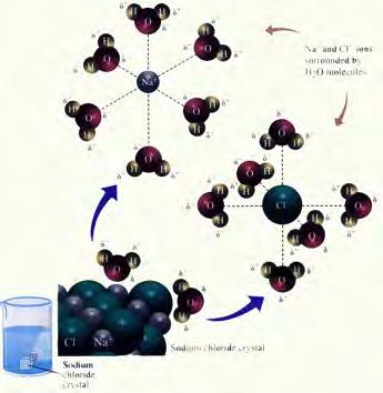 Solubility Equilibrium Na + and Cl - ions surrounded by water molecules In a saturated solution, there is no change in amount of solid precipitate at the bottom of