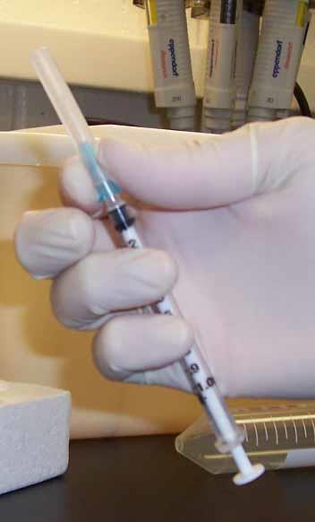 Do not recap needles by hand. When needles must be removed from syringes, do not remove them by hand; use hemostats.