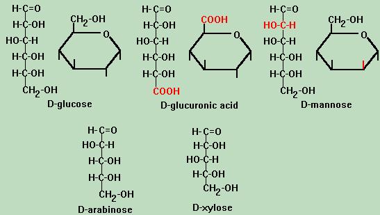 1.3.2. Hemicellulose It is easier to hydrolyse hemicelluloses by dilute acid or base into its monomers because of its non crystalline structure.