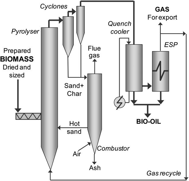 reactor Bridgewater biomass