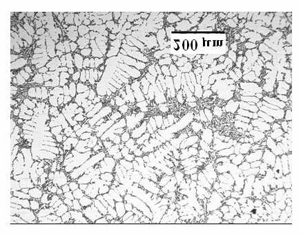 microstructure Fig. 10. Experimentally registered structure.