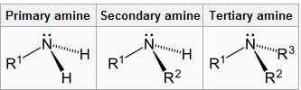 Molecular Structures of Common Amines Amines are derivatives from ammonia with one or more of its hydrogen atoms being replaced by a substituent, such as an alkyl or aryl group In Primary Amines,