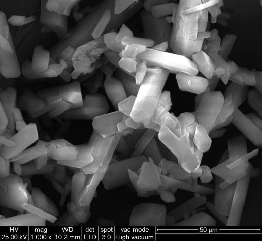 (1000 ); (b) 6 ml min -1 (1000 ); (c) 12 ml min -1 (1000 ); (d) crystal aggregate at 12 ml min -1 after 7 days