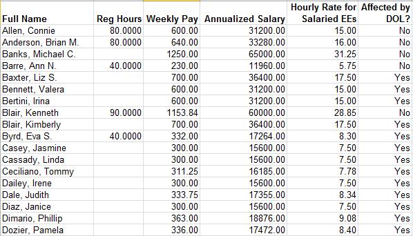 DOL Reporting and Analytics Example Report Employee Name Annualized Salary Hours Worked Weekly Pay Rate Hourly Pay