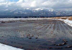 Promote agro-tourism and alternative livelihoods Winter flooding practice (Satoyama with crested Ibis, Sado, Japan) Revitalize