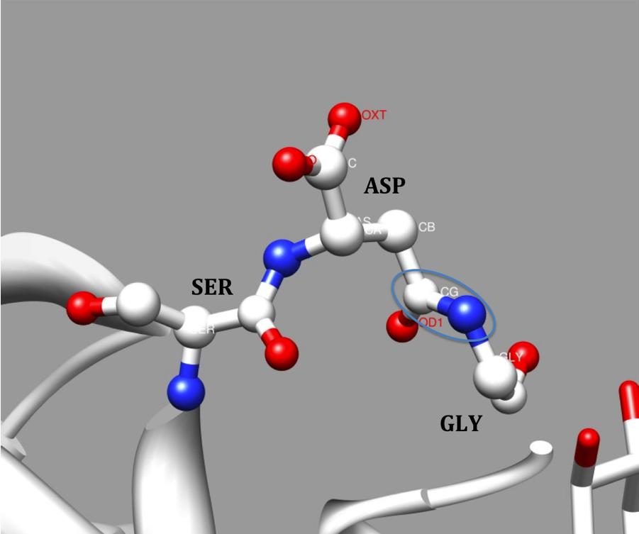 6. Polymers containing nonstandard polymer linkages Previously, an effort was made to identify and merge duplicate residues (i.e., residues with identical chemistry and different 3-letter codes).