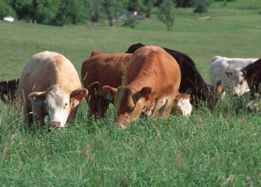 period corresponds with the grazing season for the geographical location.