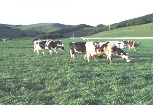 205.240 Pasture practice standard (a) Pasture must be managed as a crop. Pasture management does not include crop rotation provisions ( 205.205).
