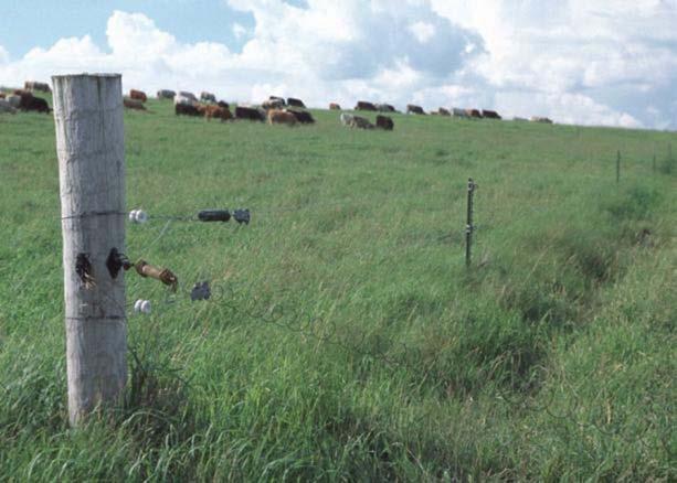 205.240 Pasture practice standard (c) A pasture plan must be included in the producer s organic system plan, and be updated annually.