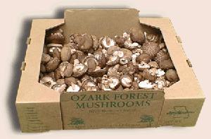 Forest Farming Nicola Macpherson Ozark Forest Mushrooms, Missouri 1990 established shiitake mushroom operation on