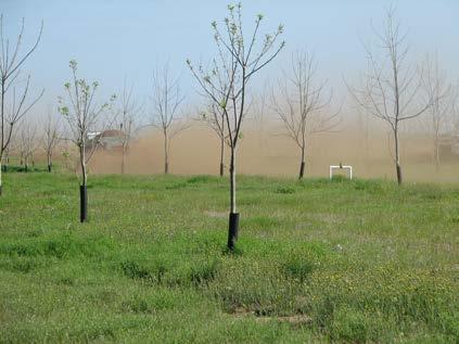 GAPs Manure and Municipal Biosolids Be aware that sitting manure treatment and storage sites close to orchards increases the risk of contamination.