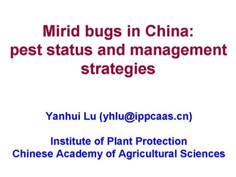 In China, > 20 species of mirid bugs were recorded in cotton fields. These above five species are the major ones.