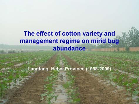 This trial was conducted in our Langfang experimental station.