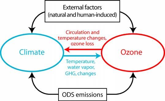 Ozone is itself a greenhouse gas, and the stratospheric ozone layer heats the stratosphere and lower atmosphere (troposphere) and is a key component that affects climate.