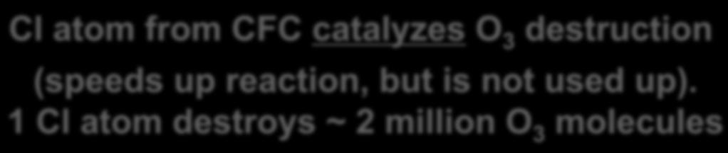 CFC destruction by ozone CF 2 Cl 2 + hν CF 2 Cl + Cl (λ<240nm) Cl + O 3 ClO + O 2 ClO + O Cl + O 2 NET: O 3 + O 2O 2 Cl atom from CFC catalyzes O 3