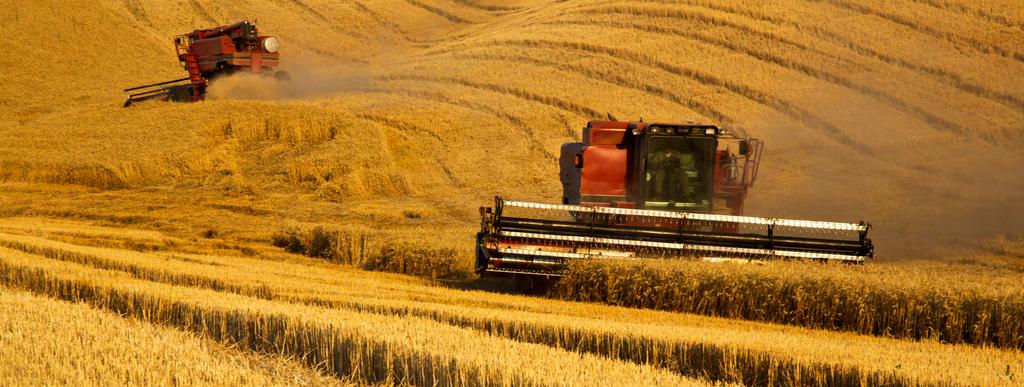 Stara: Bringing IoT to Agribusiness with SAP HANA Cloud Platform and SAP ERP Central Component Stara S/A