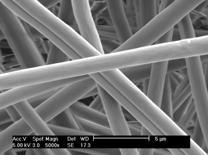 A variety of materials are used for electrospun tissue engineering scaffolds.