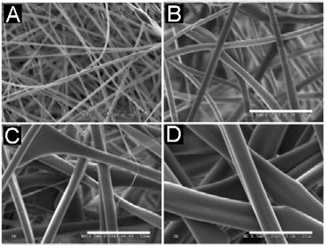 Figure 1.4. Scanning electron micrographs of electrospun gelatin fibers with varying fiber diameter and interfiber distance. Fiber diameter and interfiber distance increases from A to D.
