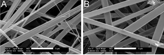 Figure 2.1. Scanning electron micrographs of electrospun collagen scaffolds.