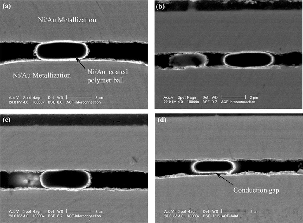 256 IEEE TRANSACTIONS ON ELECTRONICS PACKAGING MANUFACTURING, VOL. 27, NO. 4, OCTOBER 2004 Fig. 3. SEM photos showing the ACF interconnection through conductive particles (a) as-bonded at 200 C, 86.