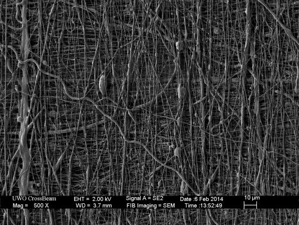 Figure 47: Diameter distribution of dual layer fibrous scaffold Figure 48: SEM images showing the dual layer structure of the scaffold. Left) 500x Magnification. Right) 3000x magnification.