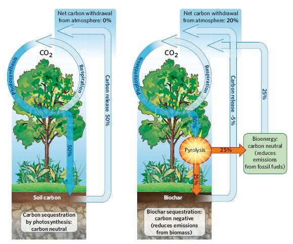 Climate Mitigation: Harnessing Big Fluxes Entry Points: A: Soil CDR and emission reduction through pyrolysis: reduce CO 2 /N 2 O/CH 4 return of the charred OM B: Soil CDR