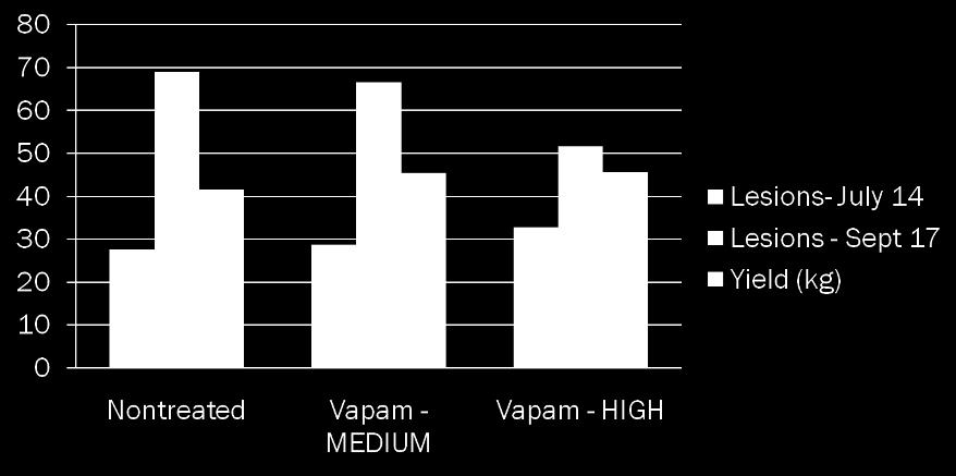 Vapam (metam sodium) for management of tomato vine decline, Kent County, 2010.