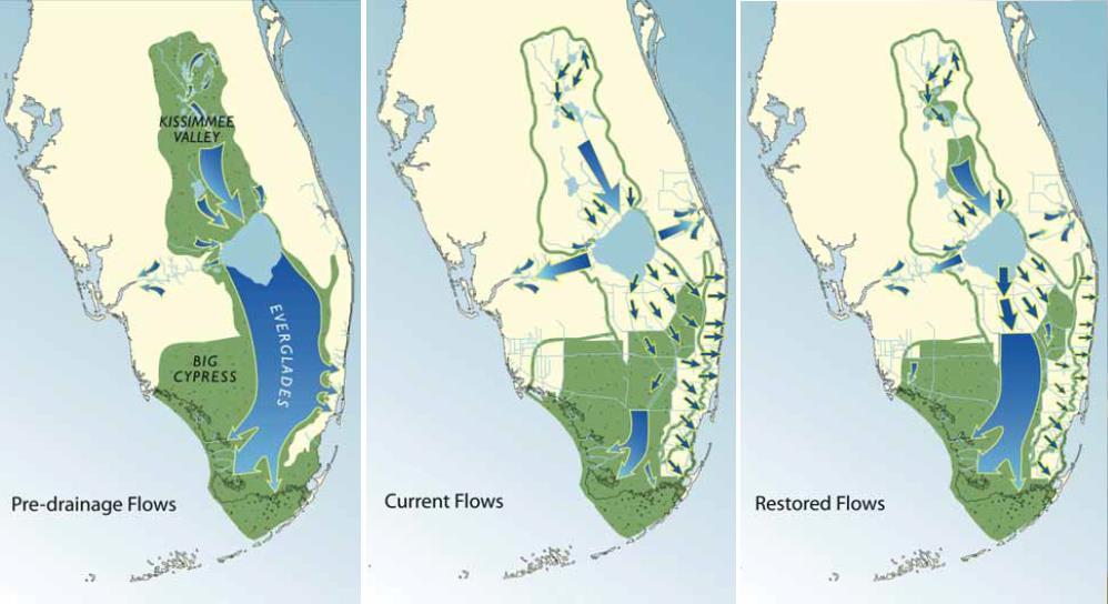 Everglades Restoration Definitions - CERP - CEPP - C-44, C-43 - EAA - IRL South - Plan 6 - SLE - STA -