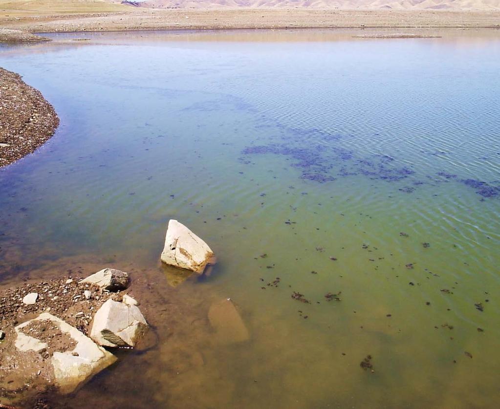 Algae Bloom in San Luis Reservoir Eliminates San Luis Low Point Water Quality Issues The project reduces operational constraints at San Luis Reservoir Prevents 73 months of impaired water quality