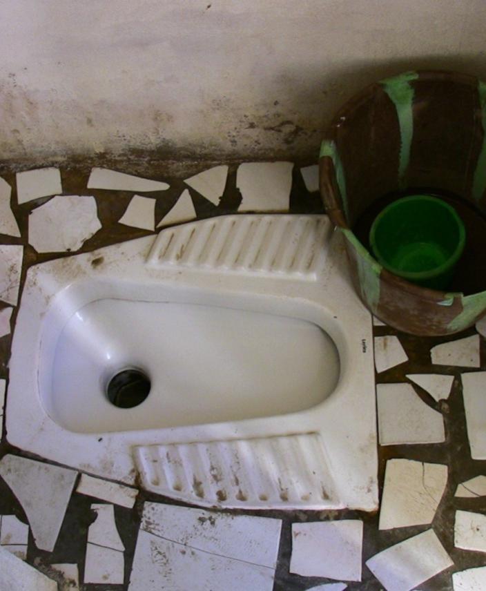 Sanitation Flush toilet