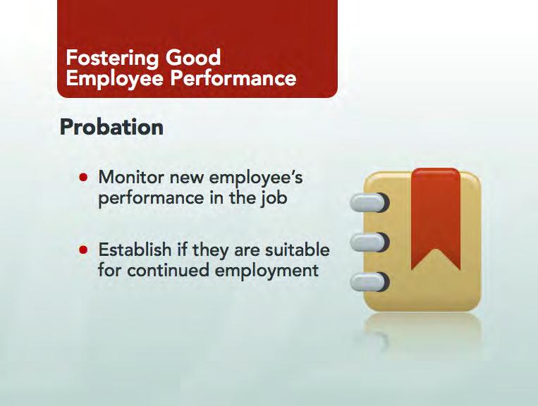 Module 1 Employee performance Show Slide 21: Now we turn to probation. Probation is about asking questions and getting answers.