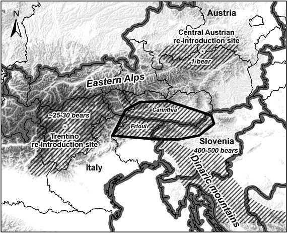 38 ILLEGAL KILLINGS IN THE EASTERN ALPS N Kaczensky et al. Fig. 1. Brown bear occurrence in the Eastern Alps, 2009.