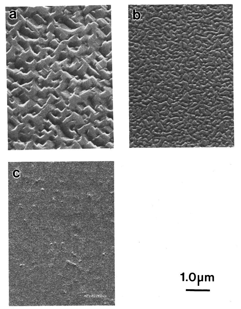 Though the density of threading dislocations is high ( 10 10 cm 2 ), no cubic domains and very few stacking faults were detected in TEM and HREM studies.
