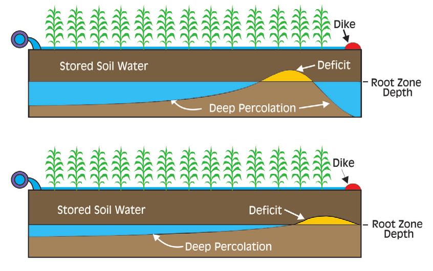 Figure K-3. Infiltration profiles under conventional furrow irrigation with blocked-end furrows (top) and three-quarter-plus advance rule (bottom). Runoff is not always a water loss or a waste.