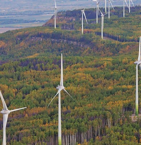 Bear Mountain features 34 ENERCON 3 MW wind turbines, which stand along a narrow ridge visible from town and deliver enough clean electricity to power most of BC s South Peace region.