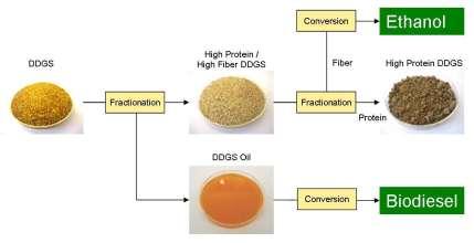 Gas (psi) BIOREFINING DDGS H 2 O Makeup H 2 O Recycle NH 3 Recycle Compressor Biomass pump mix