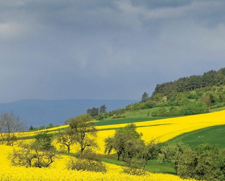 Hungarian agriculture has accounted for about 2 percent of the EU s agricultural output and added value for years, while its share of factor income has been higher, at 2.1-2.5 percent.
