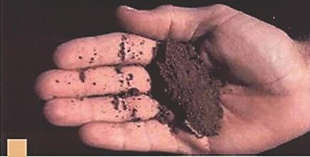 APPEARANCE OF SANDY CLAY LOAM, LOAM, AND SILT LOAM SOILS AT VARIOUS SOIL MOISTURE CONDITIONS 25-50