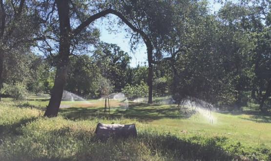 HOW MUCH WATER DO YOU NEED? PASTURE: On average, a pasture irrigated with impact sprinklers requires roughly 8gpm per acre.
