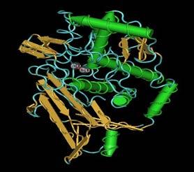 Hemoglobin (PDB ID:1GZX) Myoglobin The diamagnetic nature of both the protein