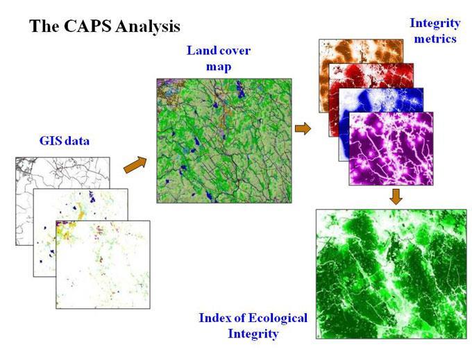 Data Source: CAPS Project (Conservation Assessment and Prioritization System) Goal: Guide conservation & restoration efforts Ecosystem-based approach to assess ecological integrity Ability of an area