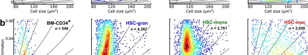 (a) RT-DC scatter plots of HL60 cells differentiated into granulocytes (HL60-gran), monocytes (HL60-mono) and macrophages (HL60-mac) measured at a flow rate of 0.