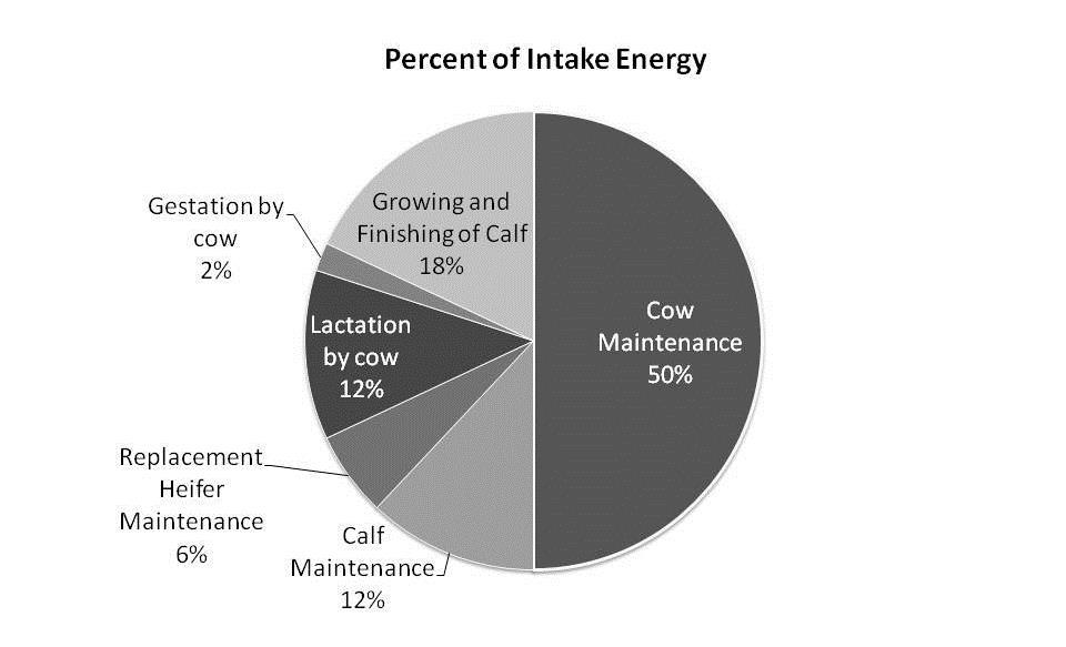 Figure 1. Conceptual illustration of units of intake energy devoted to various physiological functions in a traditional beef production system in the United States.