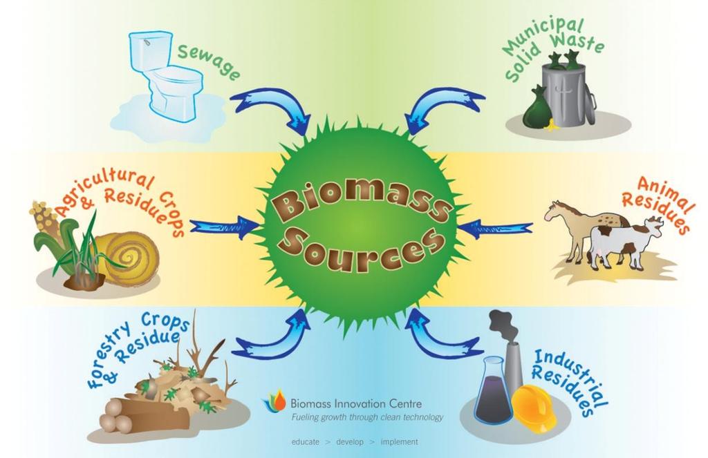 Biomass Is organic material that is burned to heat water in