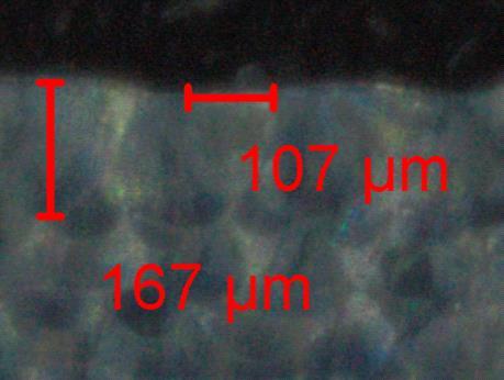 [µm] W/D Experiment (EOS) 250 ± 50 187 ± 10 1,33 Evap.