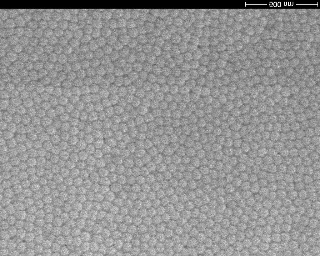 s pores grow further, the size of the area of disordered pores increases. Ordered and disordered pore growth compete. Finally, the pore arrangement look as if disordered porous alumina is formed. Fig.